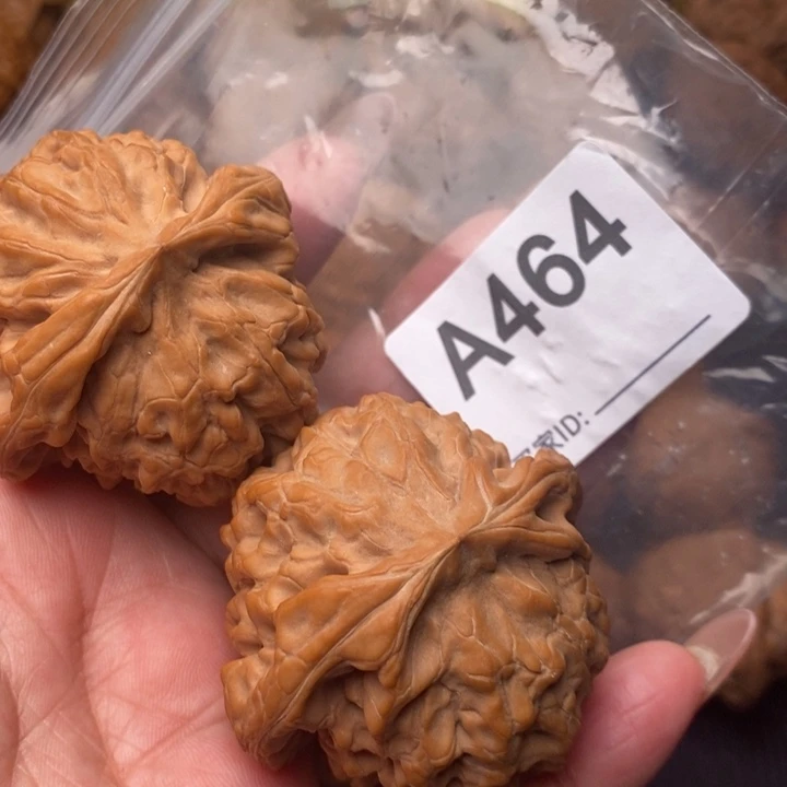 核桃把件龙鼎50尺464号