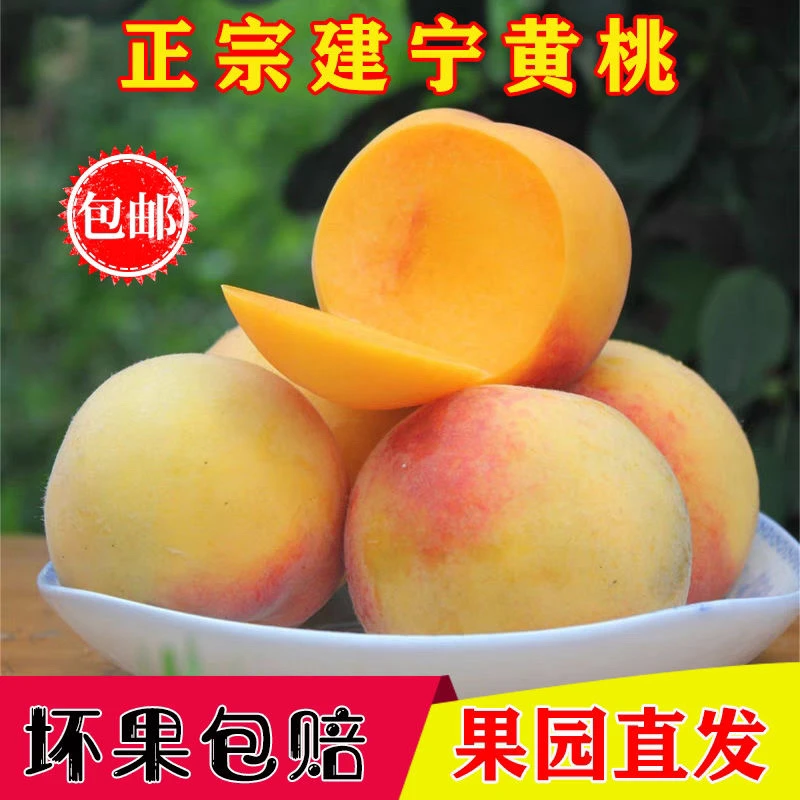 【建宁黄桃】三明建宁双溪村锦绣黄桃新鲜水果脆甜现摘礼盒包邮