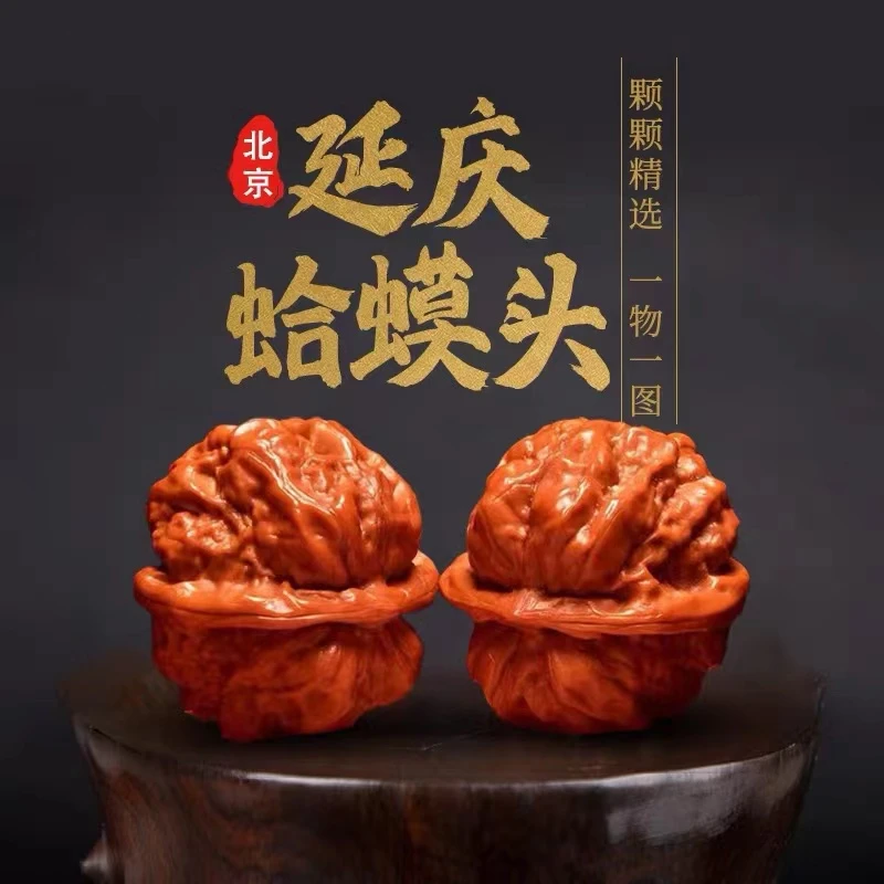 精品延庆老树蛤蟆头开背金蟾文玩核桃眼腿明显可收藏