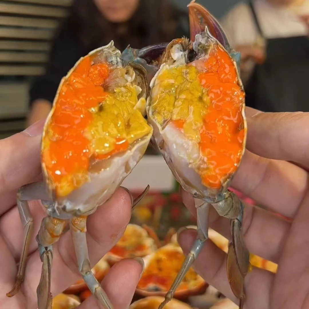 【拍3送2】青蟹·红膏母蟹 包活包有膏有肉（不要放冰箱保鲜）ww