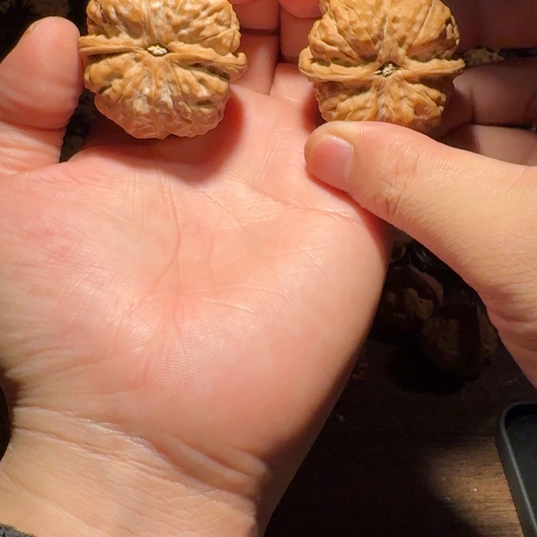 *****文玩核桃吊坠蛤蟆的眼睛是真的好看啊我的天啊