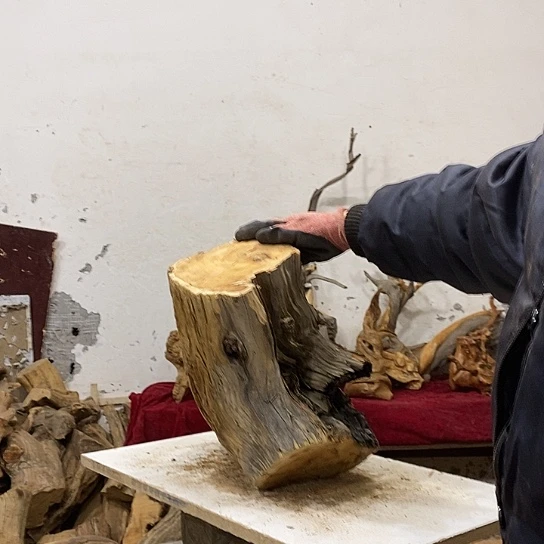 喜***杨柏木我们都是好孩子