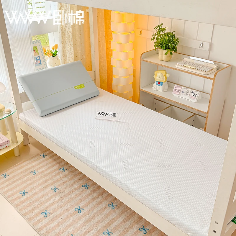 WWW学生床垫进口深睡护脊记忆绵零压护腰双面睡感加厚抑菌C0001