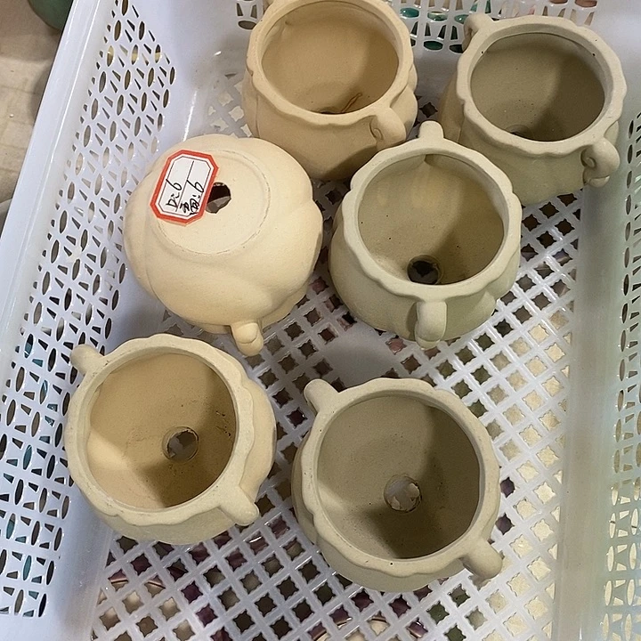 花盆抢购清货马上开始