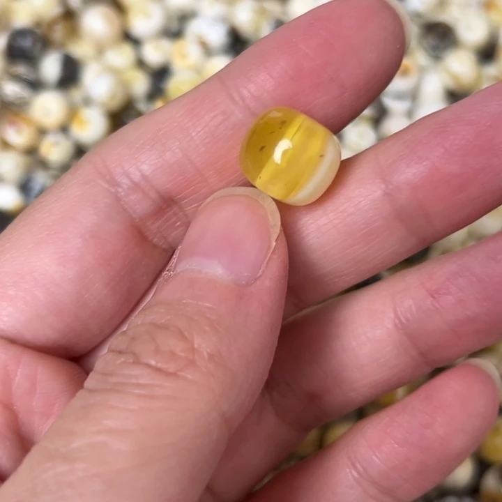 蜜蜡未镶嵌裸石12mm一个