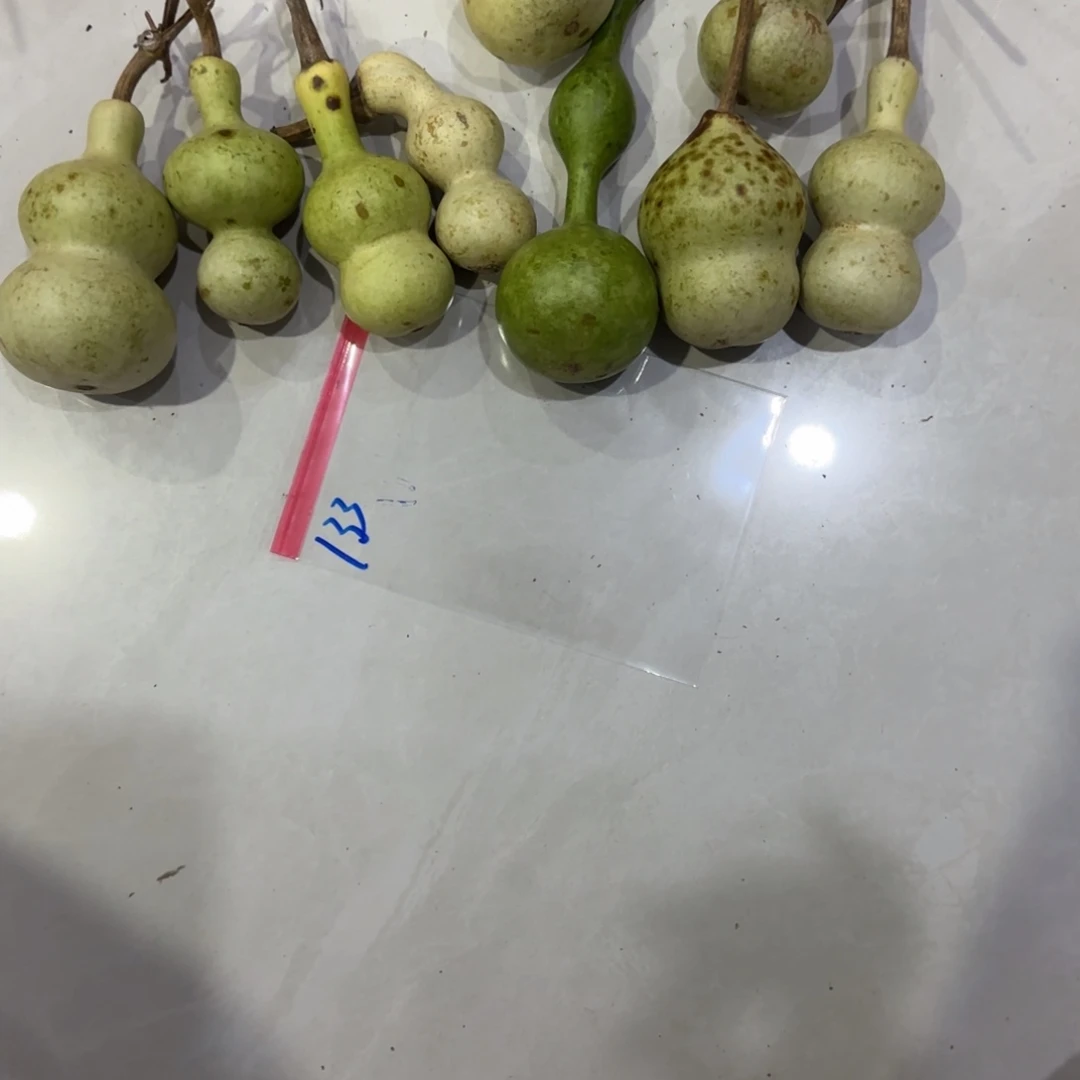 你***好青皮不包成青皮不包成