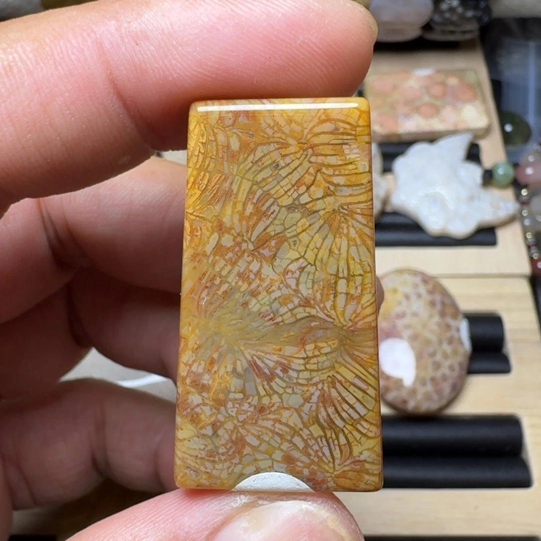 未镶嵌纯天然色有机玉石保真色硅化玉