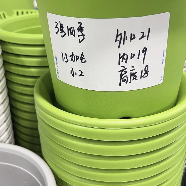 特价3号四季口21高18白色10个带托