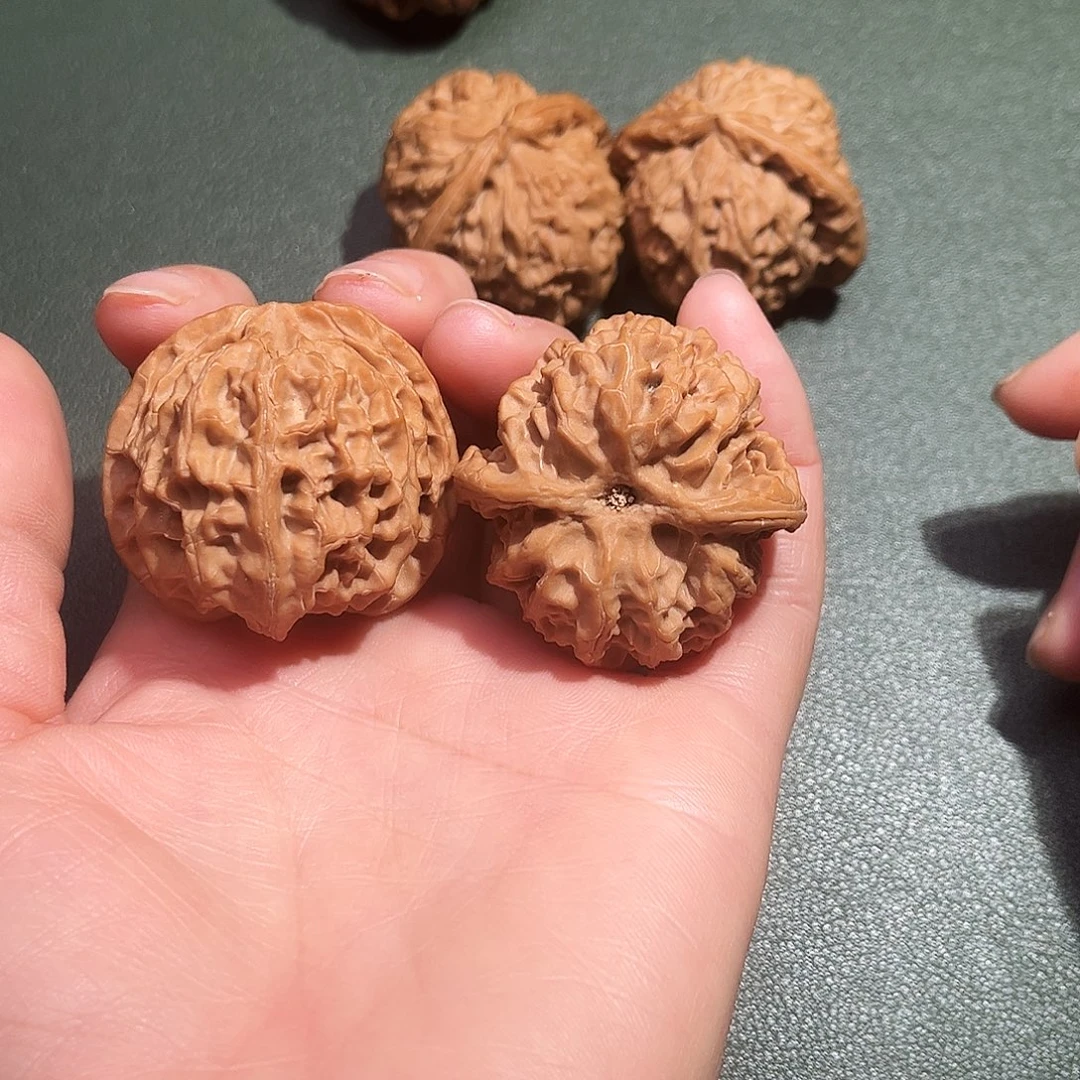 核桃涞水山地果苹果园全品