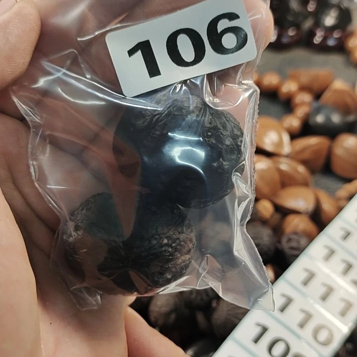 文玩核桃吊坠（**✔文文玩核桃