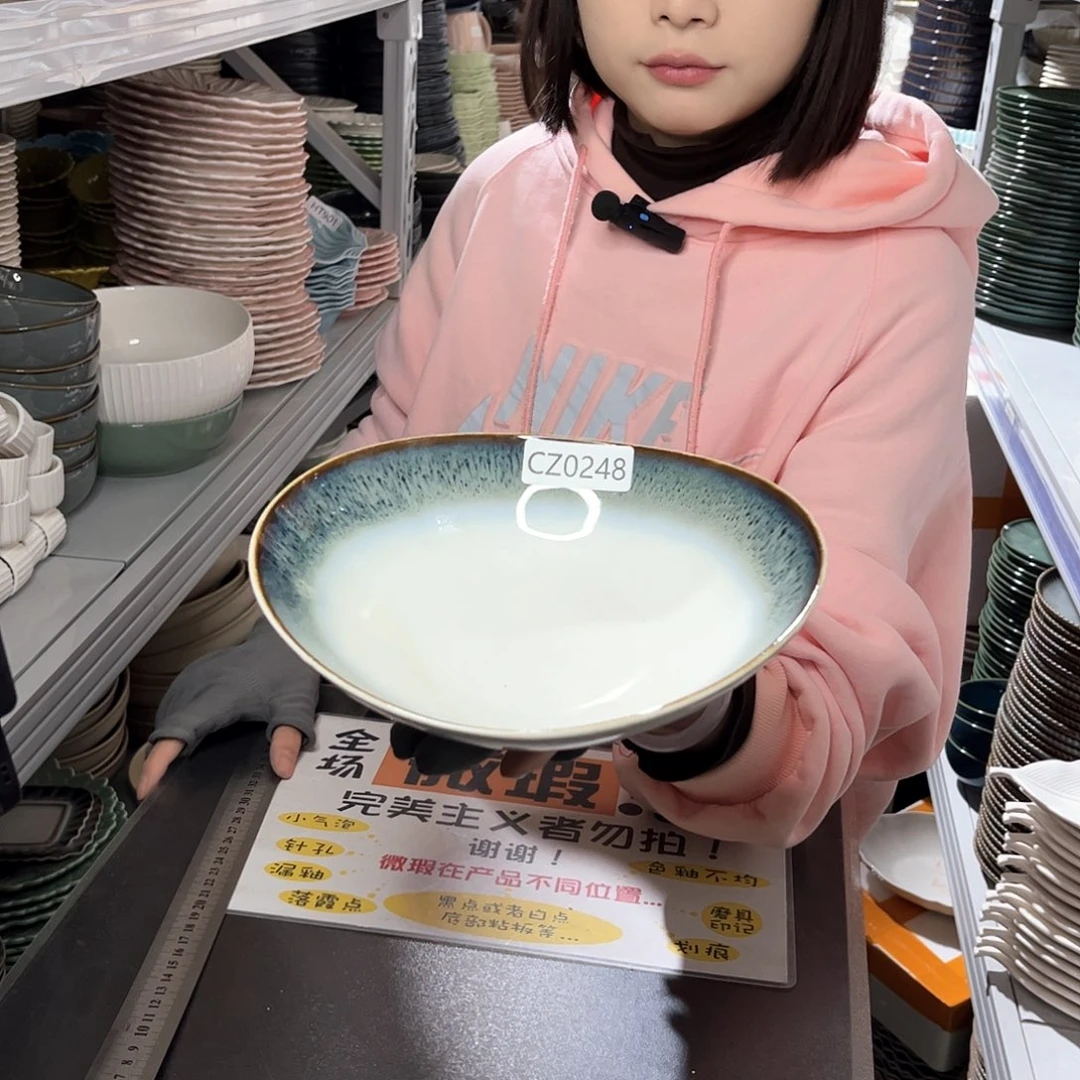 瓷片0248。           4个