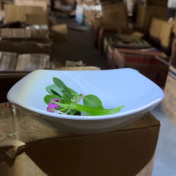 国营尾货骨瓷贵龙方盘一个