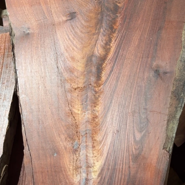 木***军木家木料不退不换