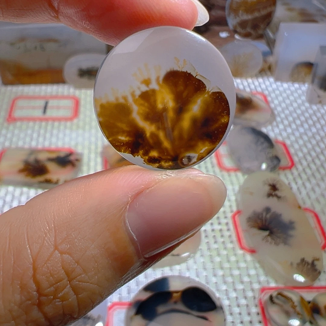 玛瑙/玉髓颈饰未镶嵌