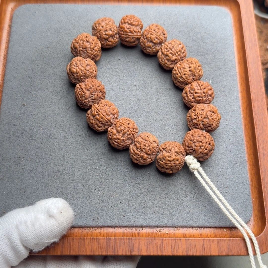 菩提菩提16号尼泊尔大金刚19满肉蜂窝