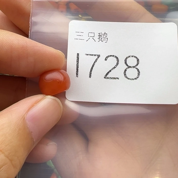 吊坠菩提根/象牙果