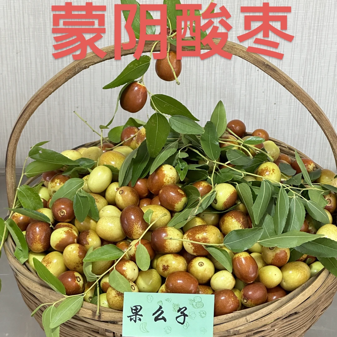 蒙阴云蒙湖酸枣子