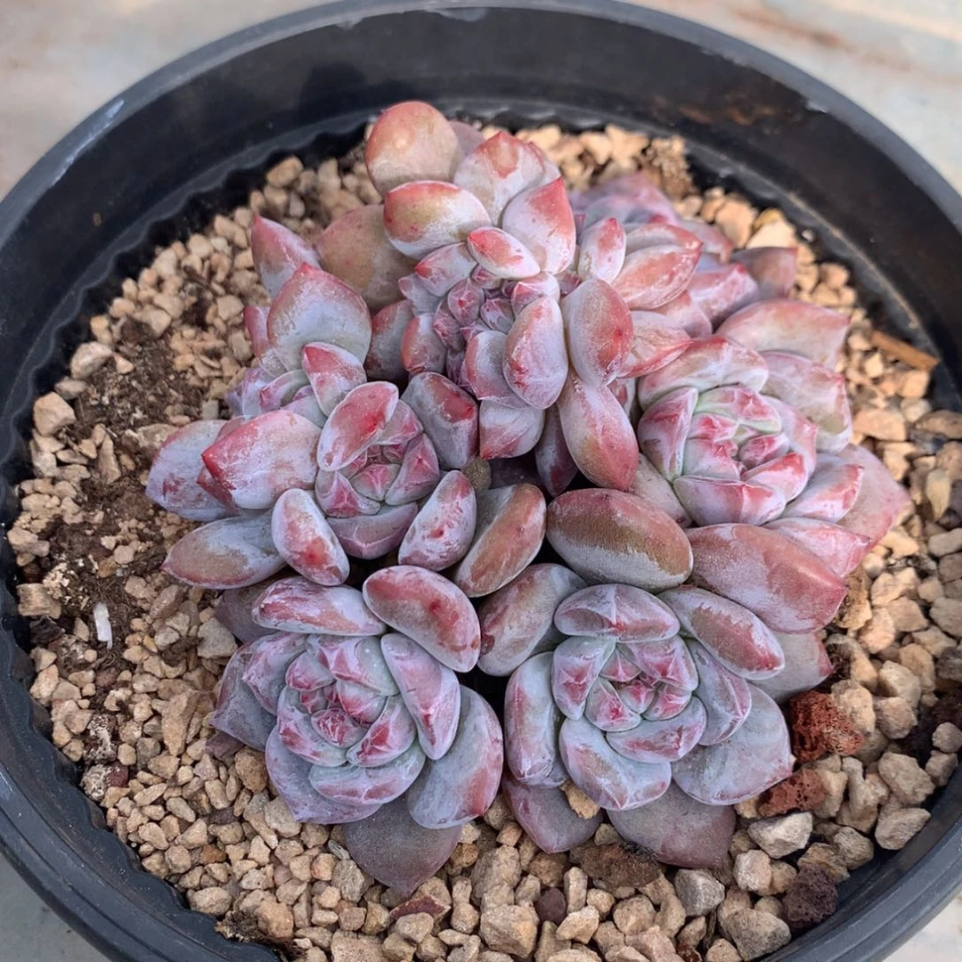 哈哈哈哈哈哈哈哈哈32