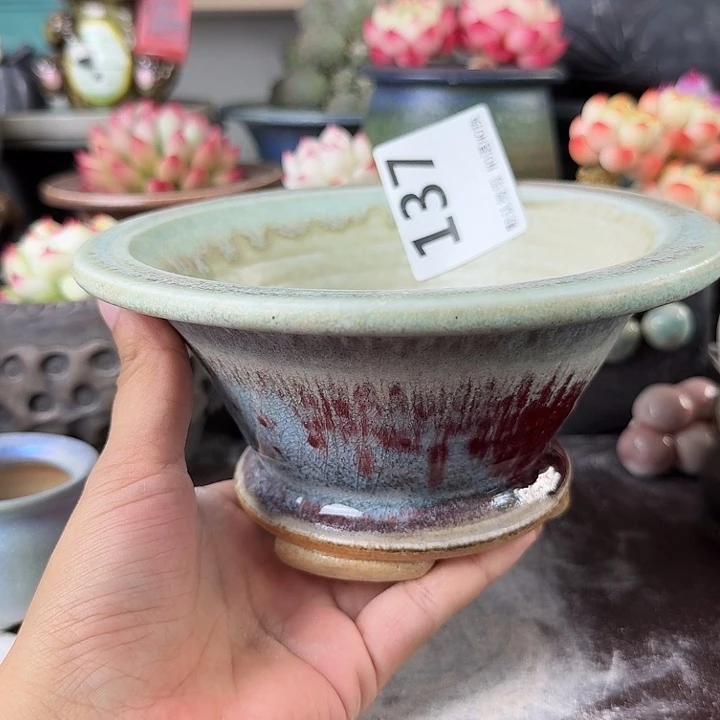 重庆小燕子欢迎大家137