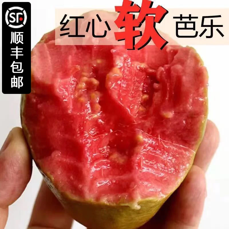 【产地直发】广西软心红心番石榴新鲜水果红心软芭乐净重3/5斤