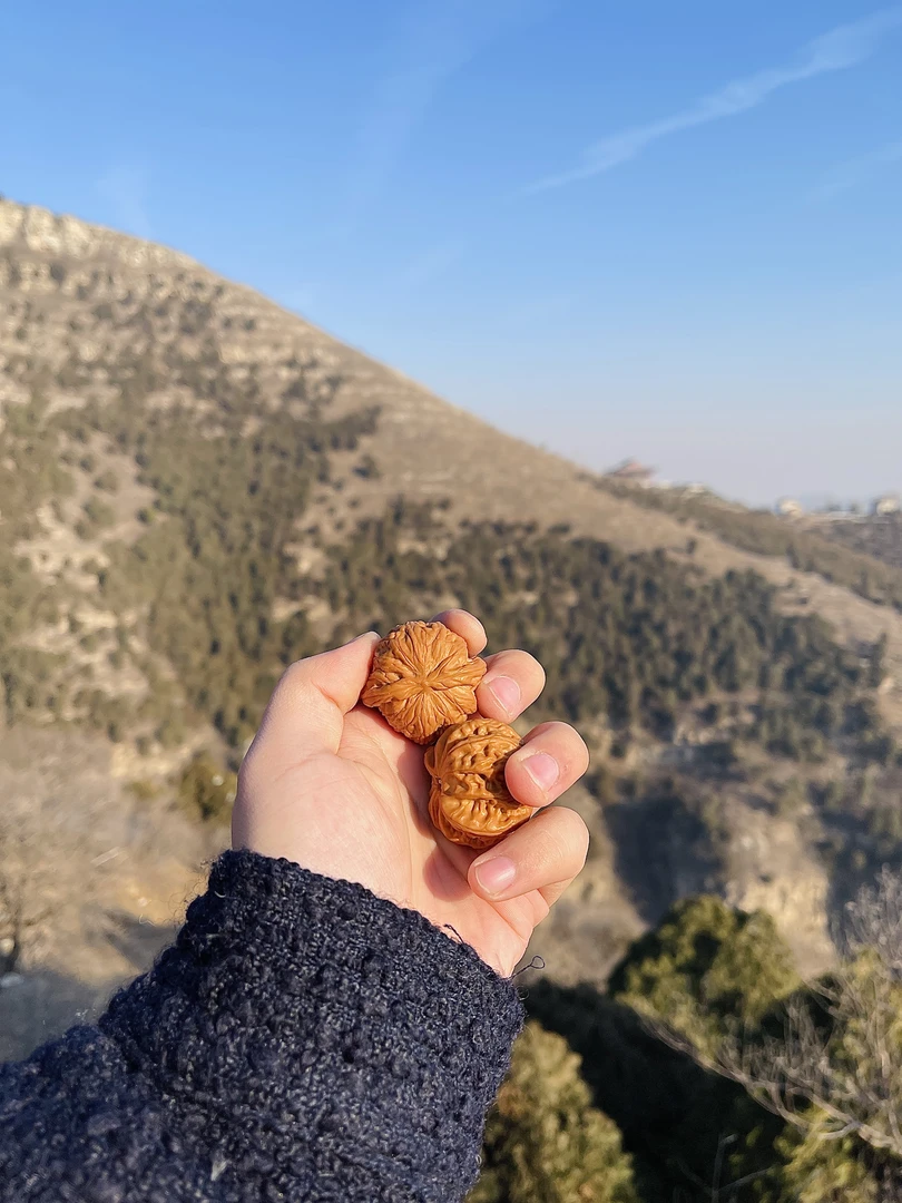 蓟县一代战鼓 直播大促 三个人 文玩核桃