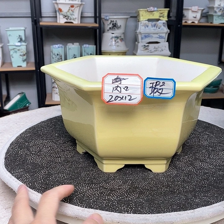 紫砂的花盆很漂亮