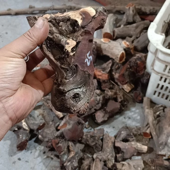 后***们柏木黑疙瘩毛料毛料