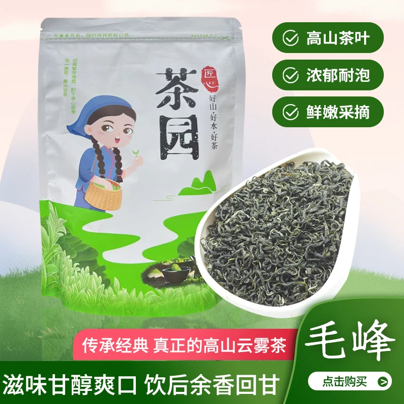 中堡岛毛峰绿茶口粮茶袋装明前绿茶新鲜嫩茶芽叶高山特级新茶