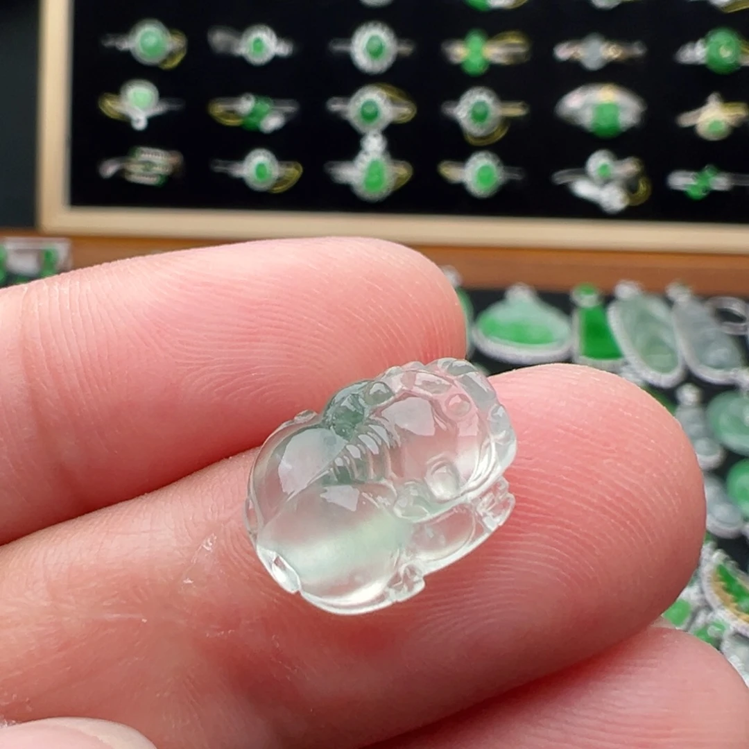 翡翠未镶嵌颈饰貔貅13.2