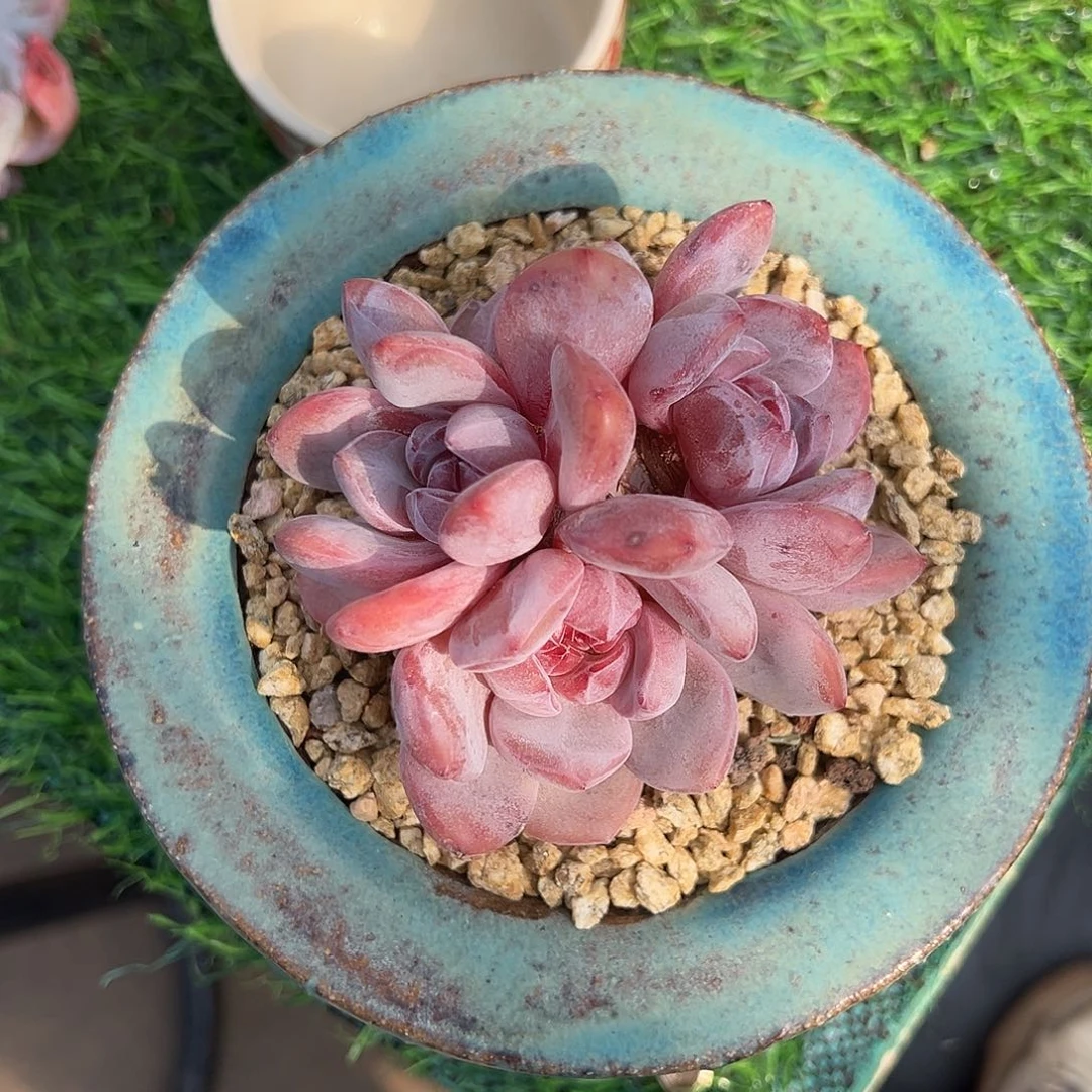 W****?chghbbhhhhhhhbhhjj