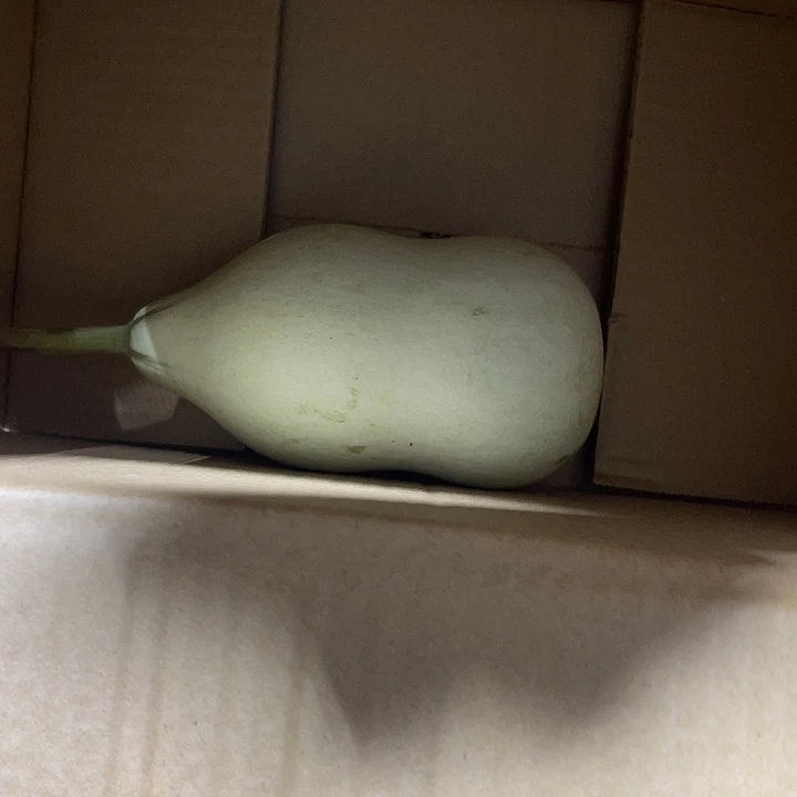 非洲紫檀（红花梨）闻*
