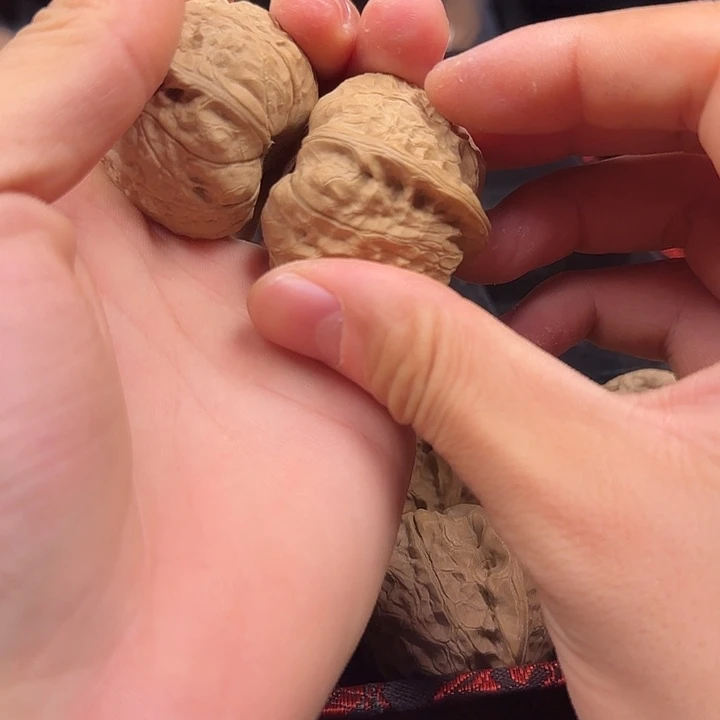 开***案龙脊菩提吊坠啊啊啊啊啊啊啊南瓜异形13