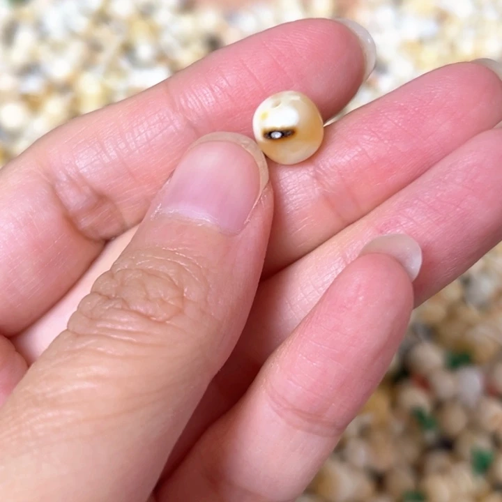 裸石蜜蜡未镶嵌8.5mm一个