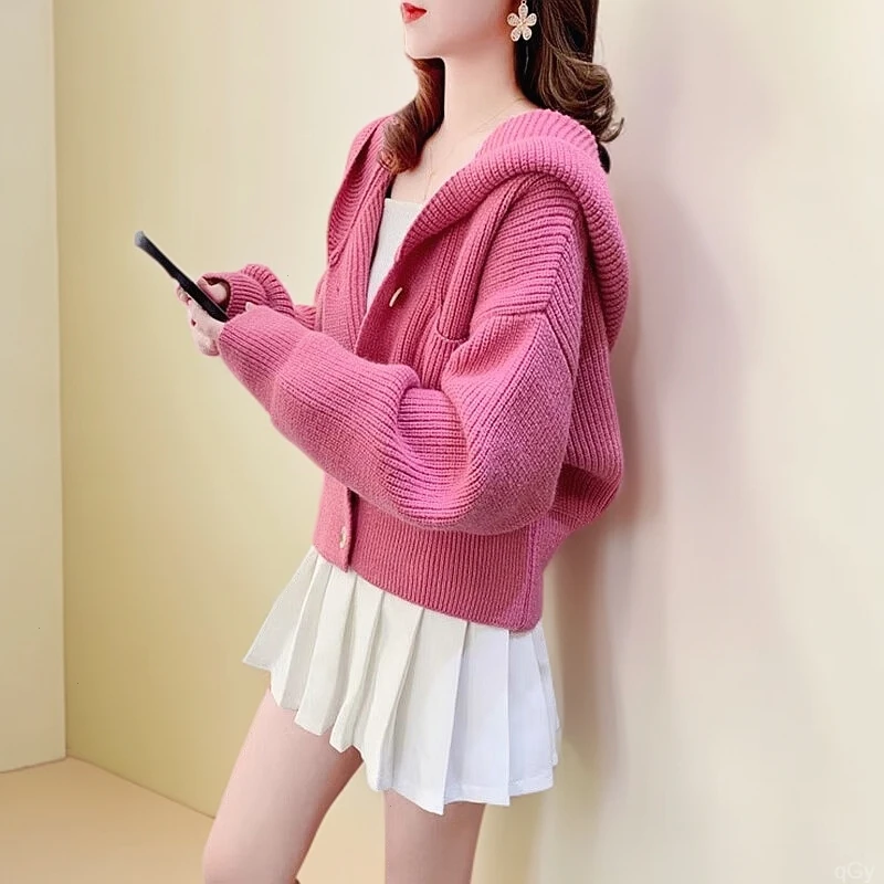 毛衣外套2025春秋新款开衫女加厚小个子短款连帽慵懒风针织衫上衣