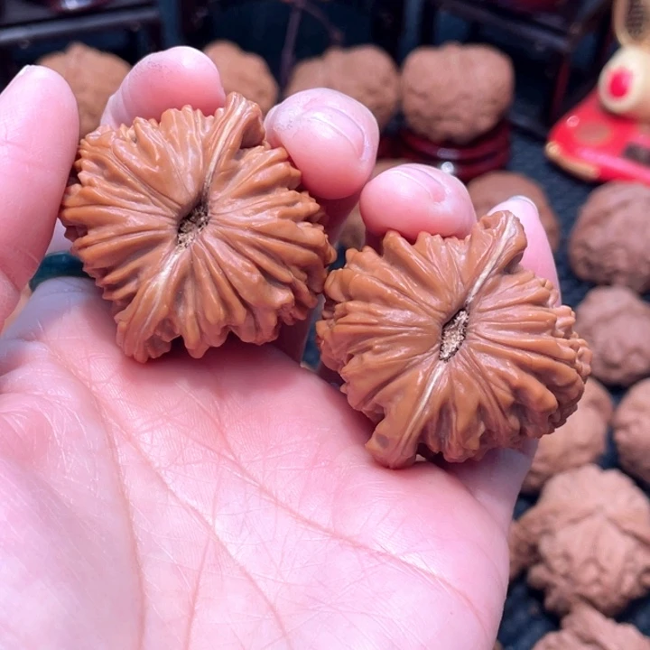 山地四座楼4.1全品无修