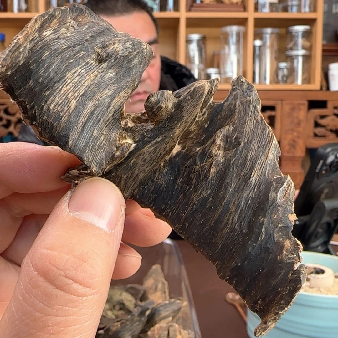 沉香摆件老树奇楠虎斑厚油料15.8克