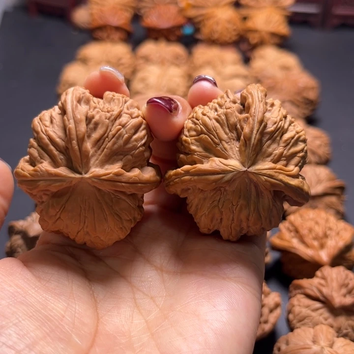 白狮子丁字核桃哈哈哈哈哈哈哈
