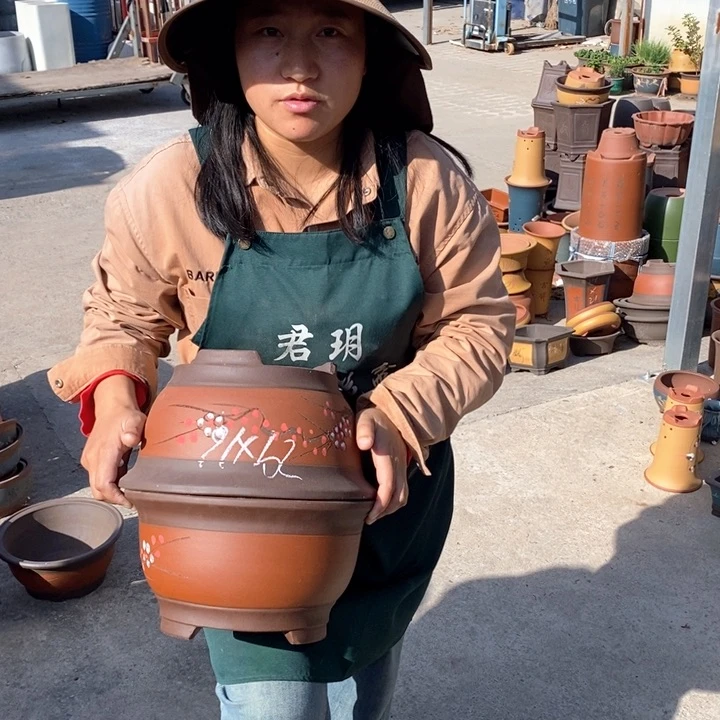 紫砂花盆紫砂花盆盆栽花卉苗木种植