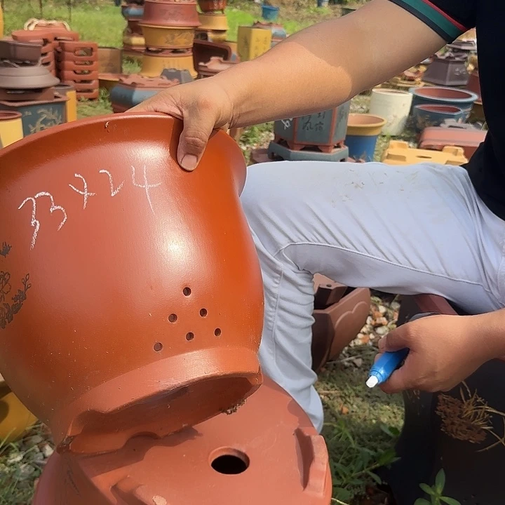 紫砂花盆紫砂花盆