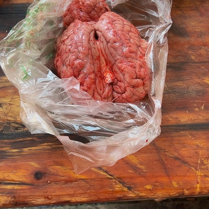 广西土耕马马肉、沙姜炒马肉中国大陆