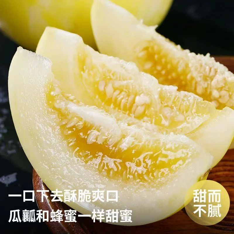 山东头茬小蜜蜂甜瓜星甜20脆香瓜小蜜罐新鲜直供