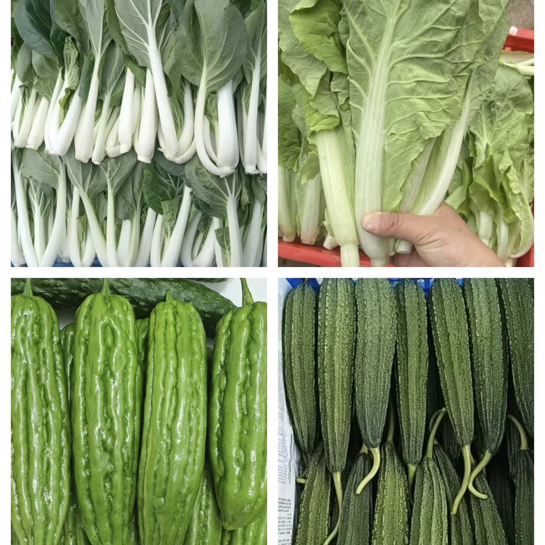 指定菜品【奶白菜+小黄菜+苦瓜+丝瓜】有机肥种植露天农家菜5斤装