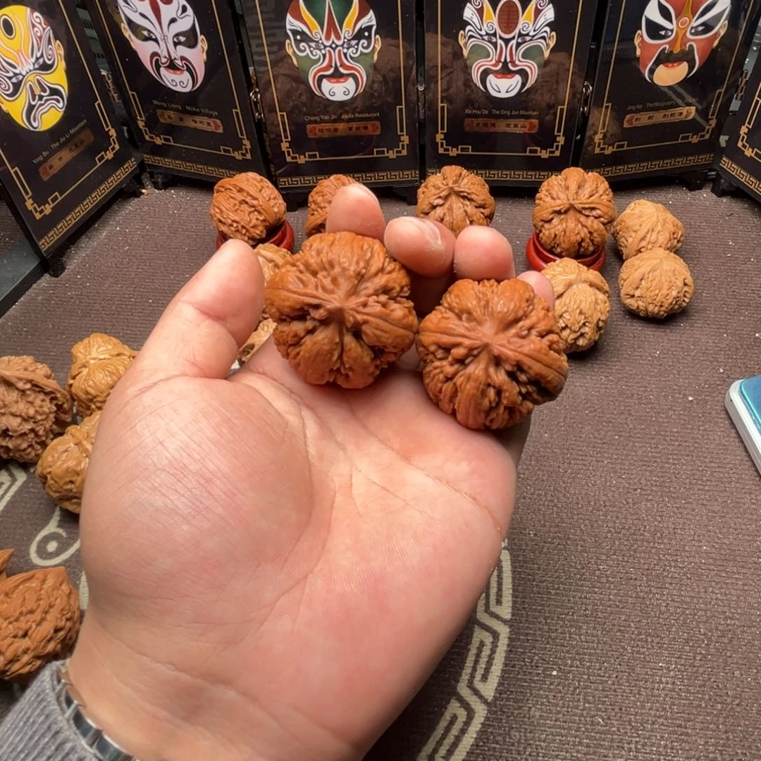 微***胖核桃霸王龙111111111