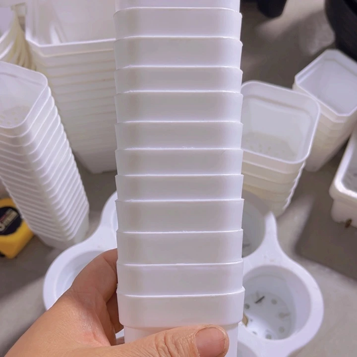 白方口6高6一组30