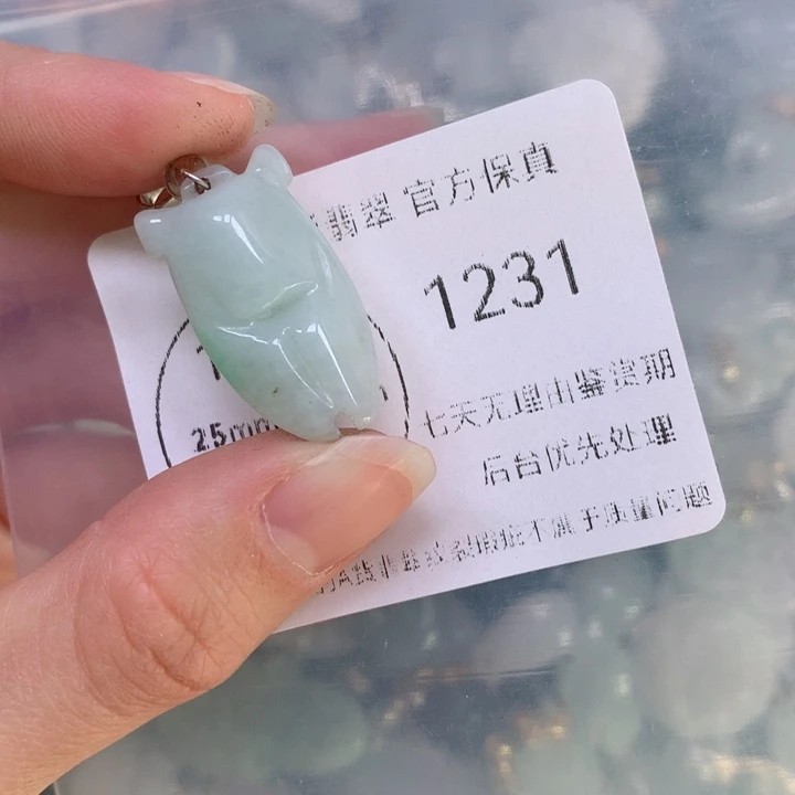 翡翠颈饰未镶嵌翡翠