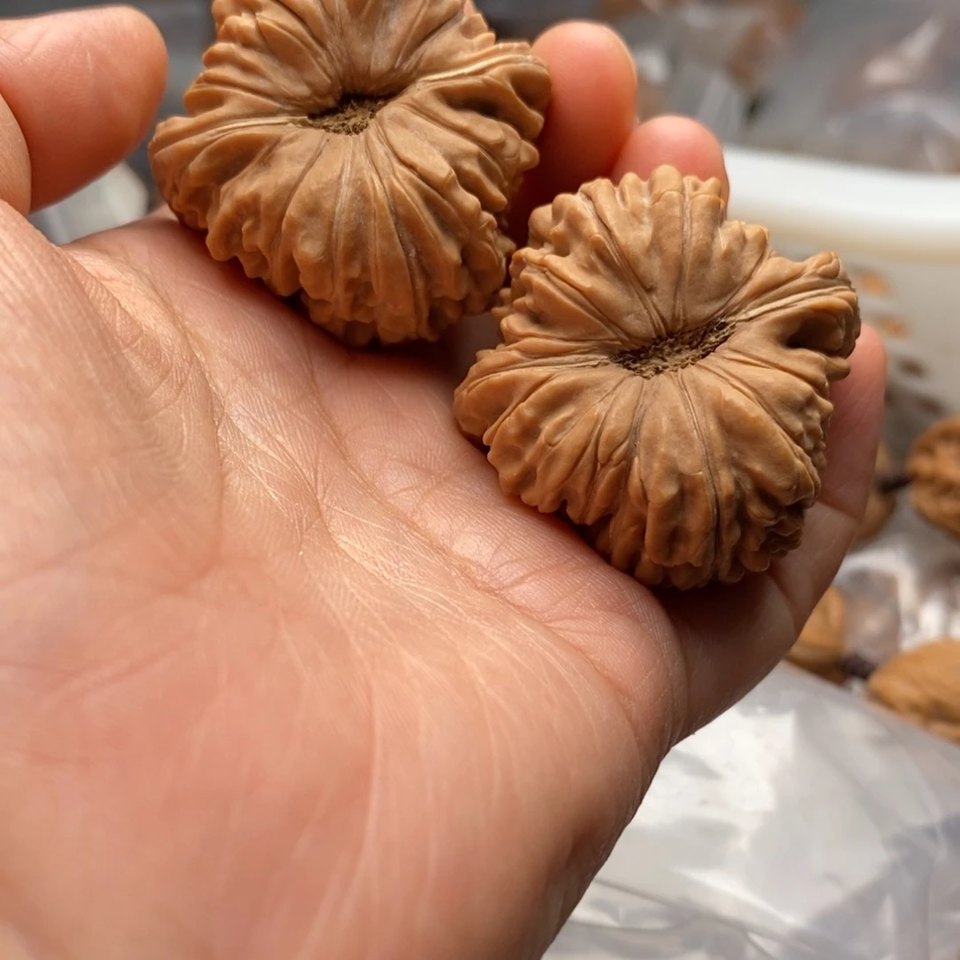 文玩核桃把件华坤龙40尺