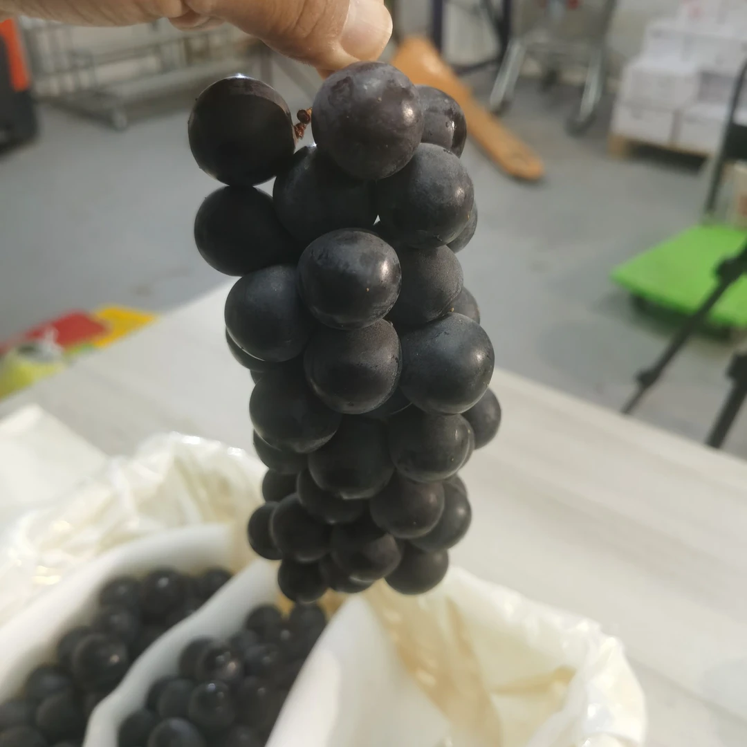 峰香月葡萄（箱/3斤左右）（仅限