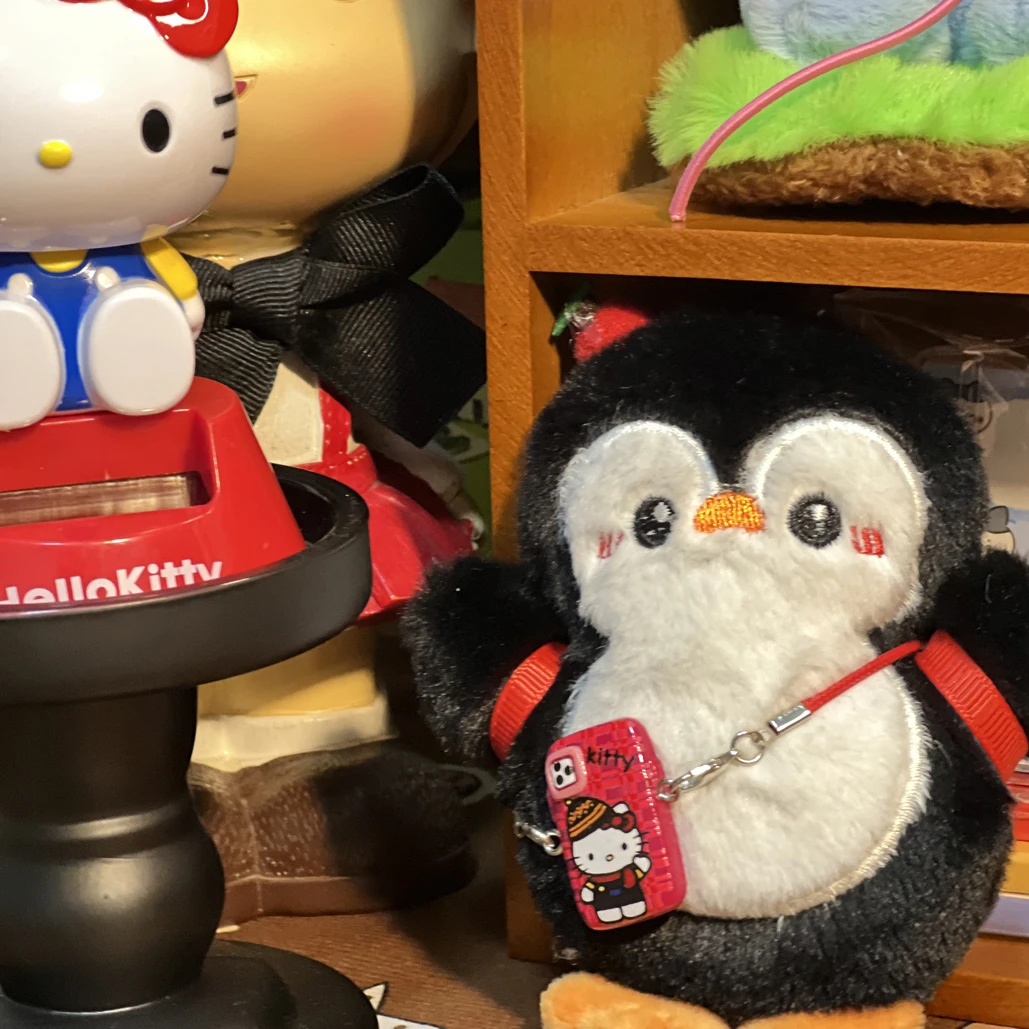 歪梨杂货铺福利品发夹链接（直播专用）