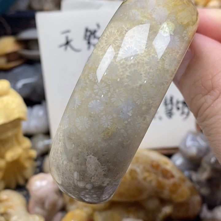 硅化珊瑚（珊瑚玉）未镶嵌颈饰55