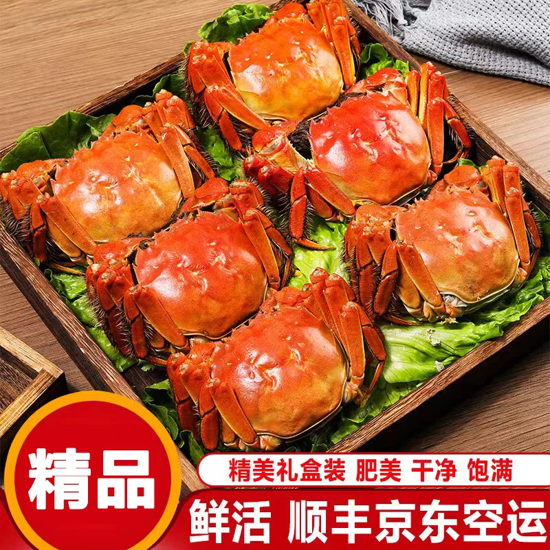 【活蟹】精品河蟹母蟹1.8-2两买8只送2只共10只装礼盒顺丰京东